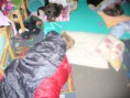 /album/taborak-a-hledani-pokladu-v-lese-spani-v-druzine-2015/p1030150-jpg/